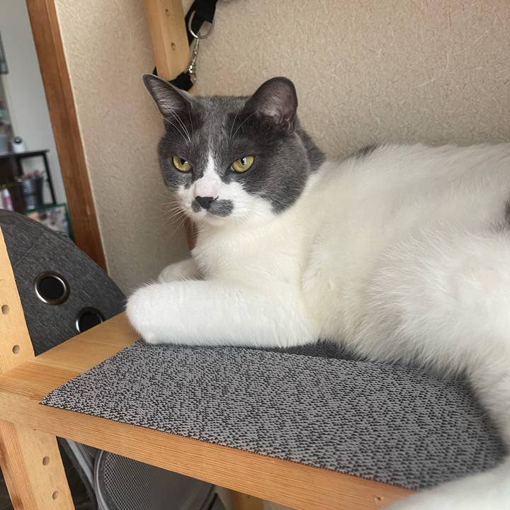 5e62d915 1933 44d6 8dab 8acf11608929 1755386112653