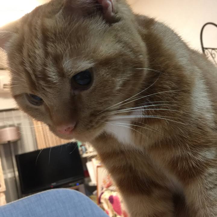 5e6368e6 2ac6 4997 a37f 7e35324b0c83 1555459327947