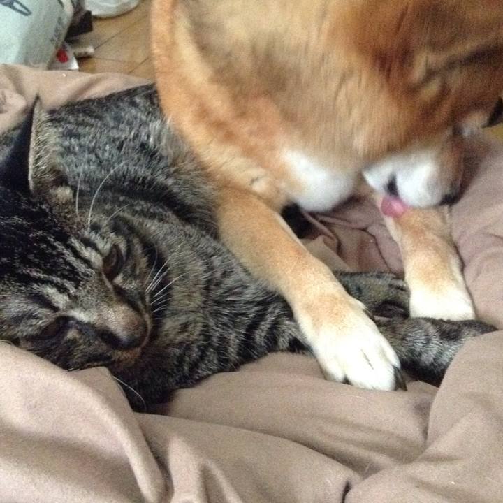 5e638912 aa1a 438b 8844 e4d2b138acba 1540378748877