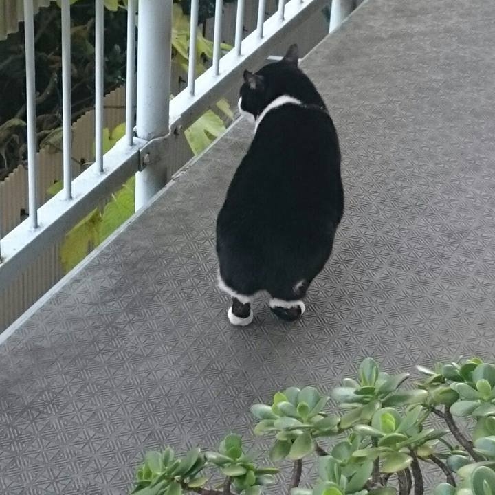 5e6399f4 6be9 4526 b011 aabd8042a0e9 1512531314649