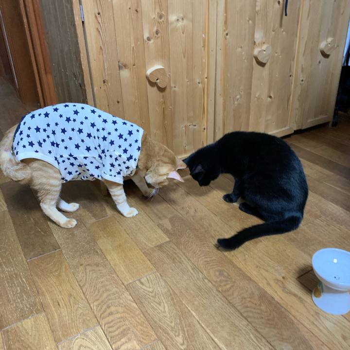 5e63d06f c007 4f39 9e88 1750a49adc1f 1632150840623