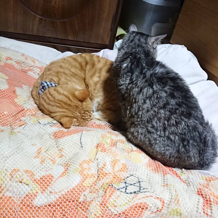 5e6403c0 da16 4fd6 a010 65222d104f78 1575030859686