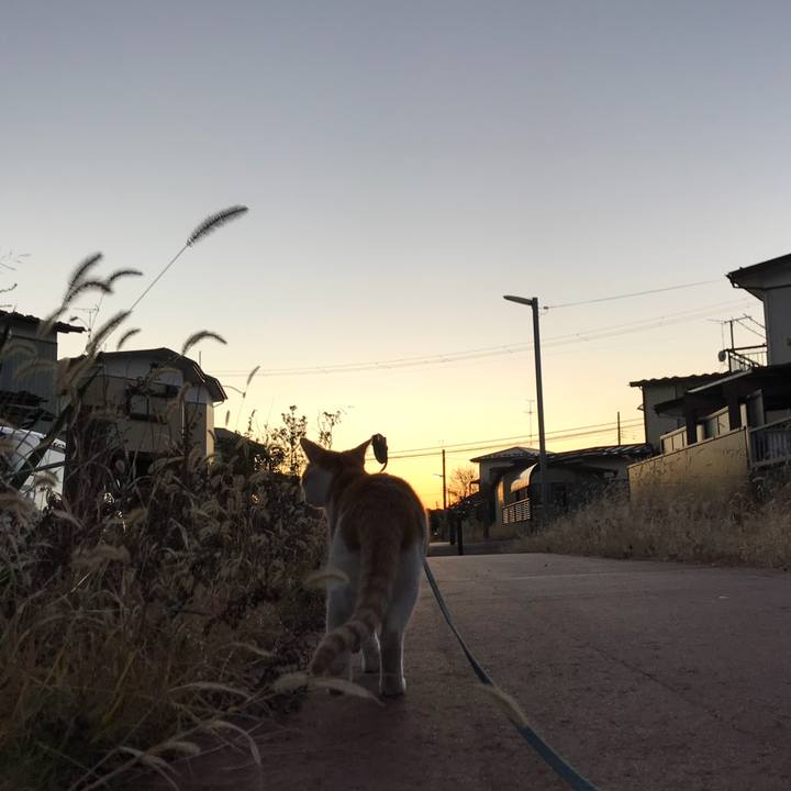 5e641c79 e322 47ff 82be 6a70ec7bf31c 1514030216084