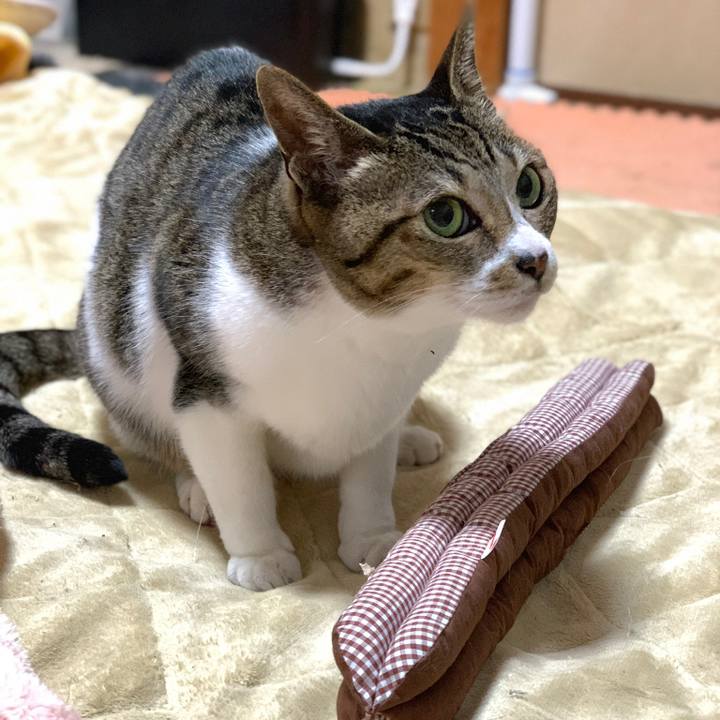 5e64448b feb8 45cf 8144 c349404bd670 1582767387162