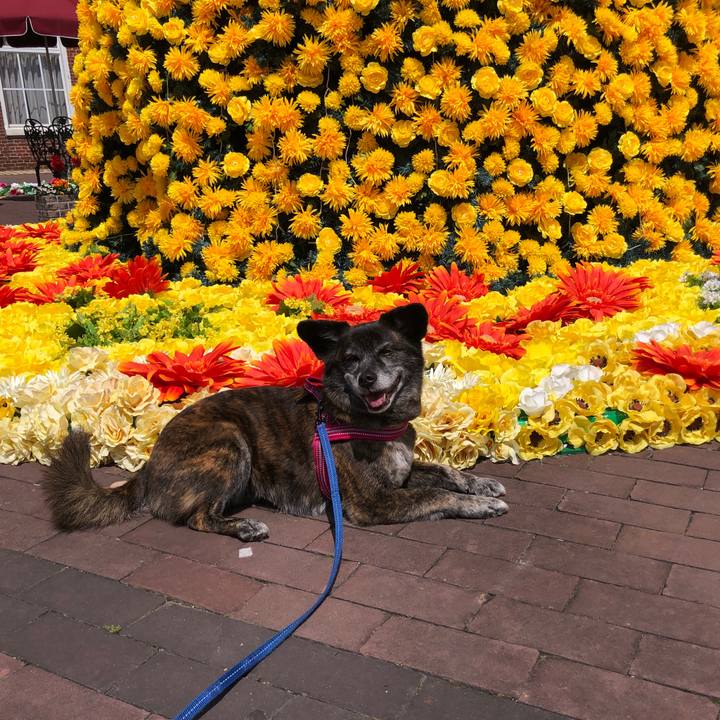 5e649ef8 2a53 465d 8595 15aeb826dd0a 1649984481929