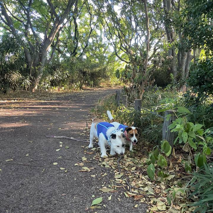 5e64a011 67f8 4a8a ab2e 49f94411db24 1692745599134