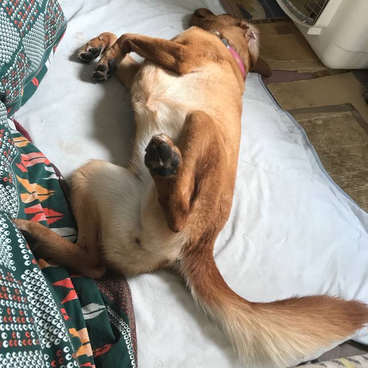 5e64c1e3 5930 4f0e a3a6 2c76dd665b9a 1525313552514