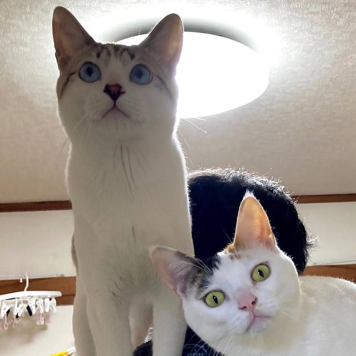 5e64d050 b5ab 498d bb35 49eef8455f8e 1613706407295