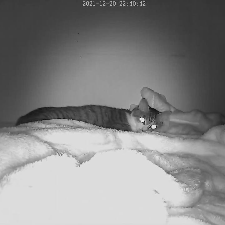 5e64d355 6495 4b92 9e59 477d66636a6f 1640007674396