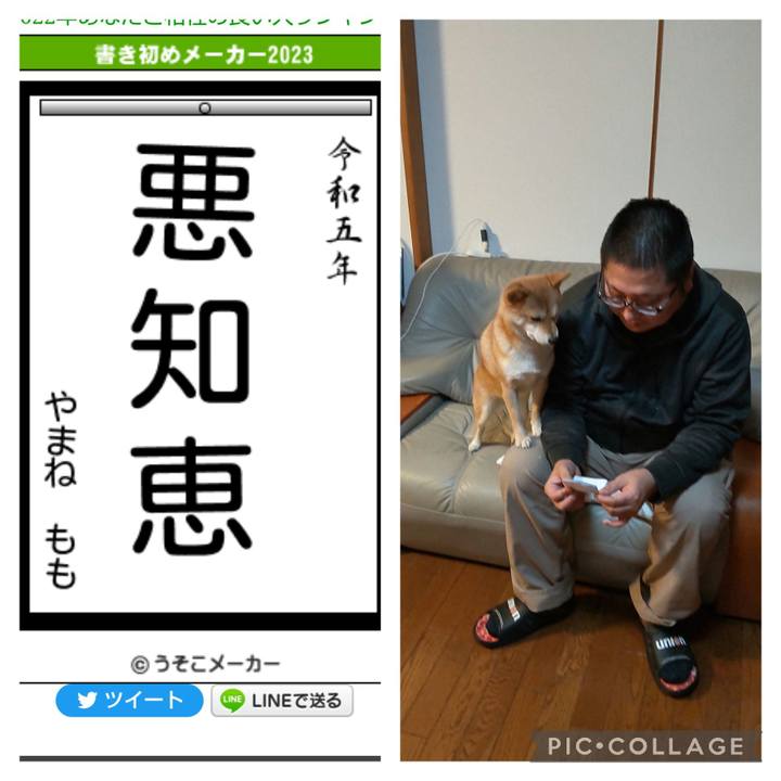 5e64e6ba 7d93 4beb a464 29dece7cf677 1672786839002