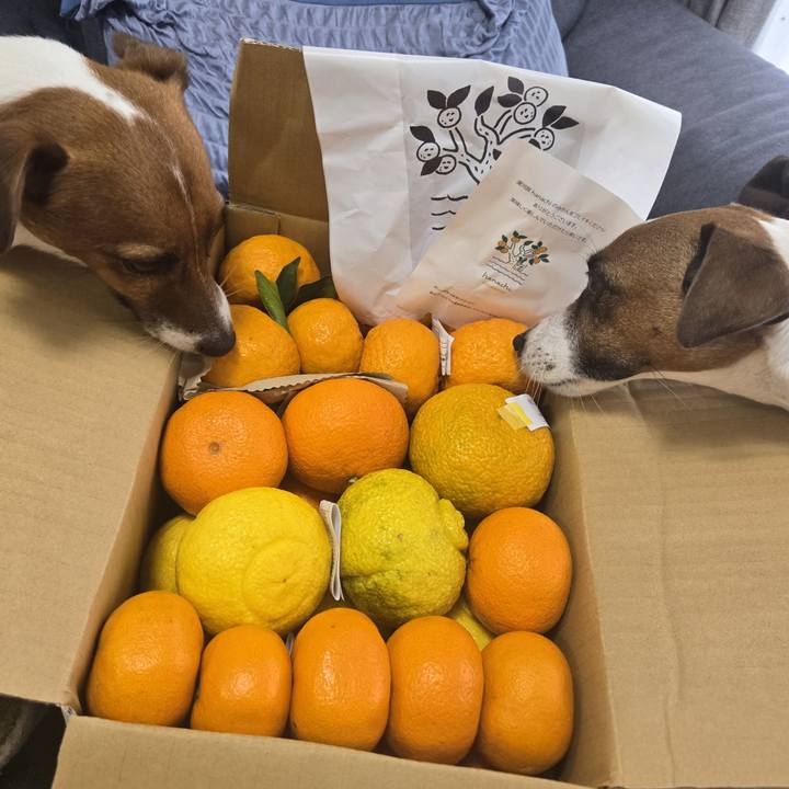 5e650e52 c604 4a31 a0e9 d3202a0fdc37 1768958265724