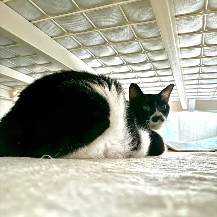 5e6543a0 b4d6 4183 befd 4353ad9e3bf6 1725938328127