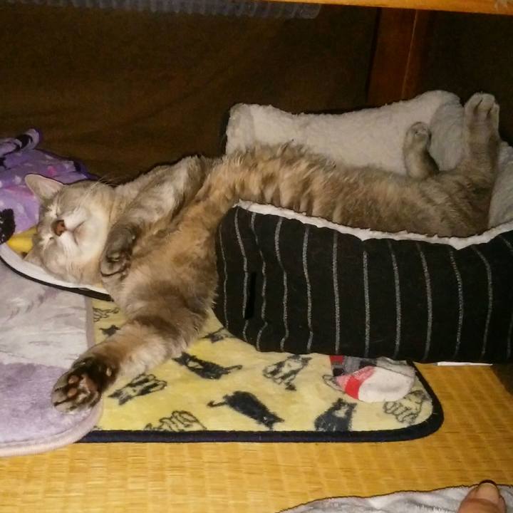 5e654729 1e78 4989 a367 a88e020fc4fd 1520763263843