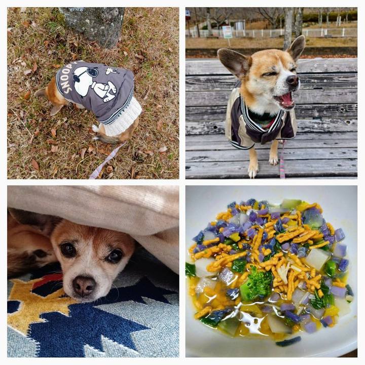 5e655c49 3913 4c73 9271 c4a54602e5d8 1640511224598