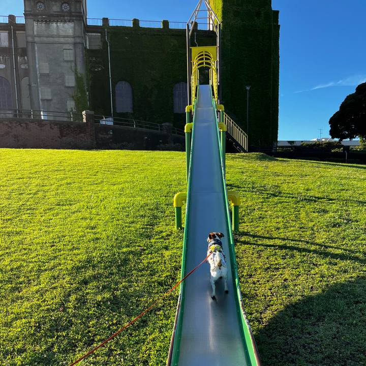 5e661773 c494 403f b13c 417b721268a8 1753011407726