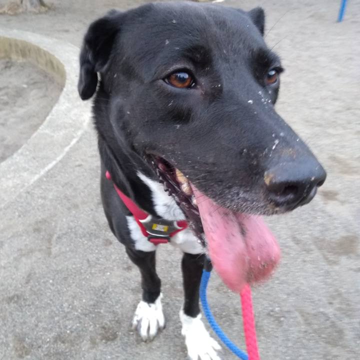 5e6651f6 208a 4e00 b953 1e1bfa0344bd 1595155847823