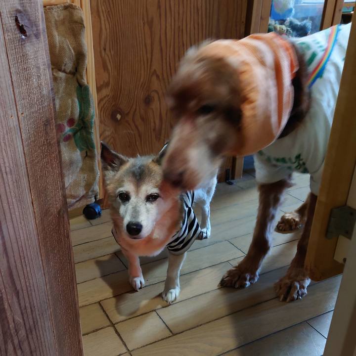 5e66780d fba3 4983 a5af 1b3536a6ba3e 1736772139715