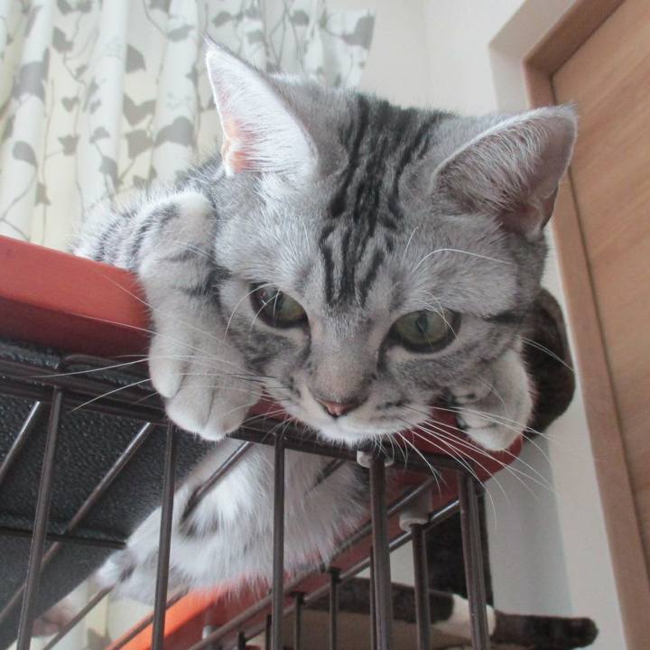 5e66785b b1dd 4bbb b8b9 f7691fa01220 1554538642376