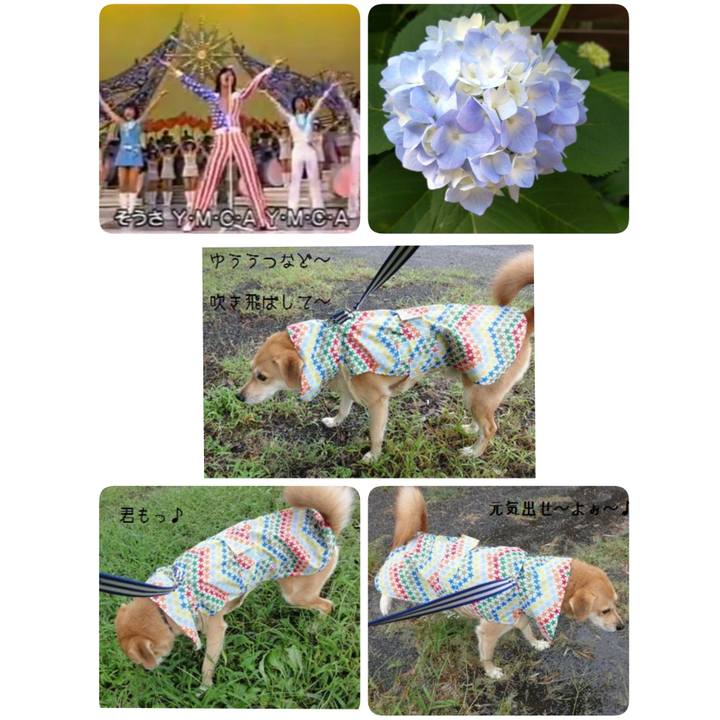 5e667bdb 7df7 471b bd6d 7b542e2f664f 1527461807672