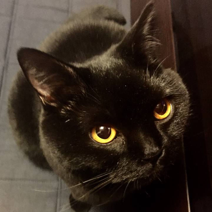 5e668eaa 99b1 410a 9fe4 55a814574410 1515071935697