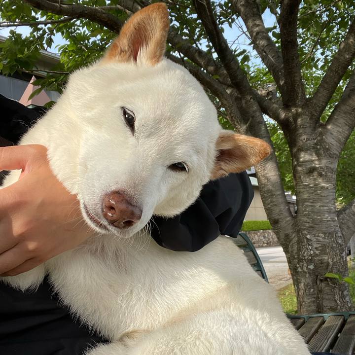 5e66a4f7 08e0 4863 b00e ff0499f01751 1650888298419