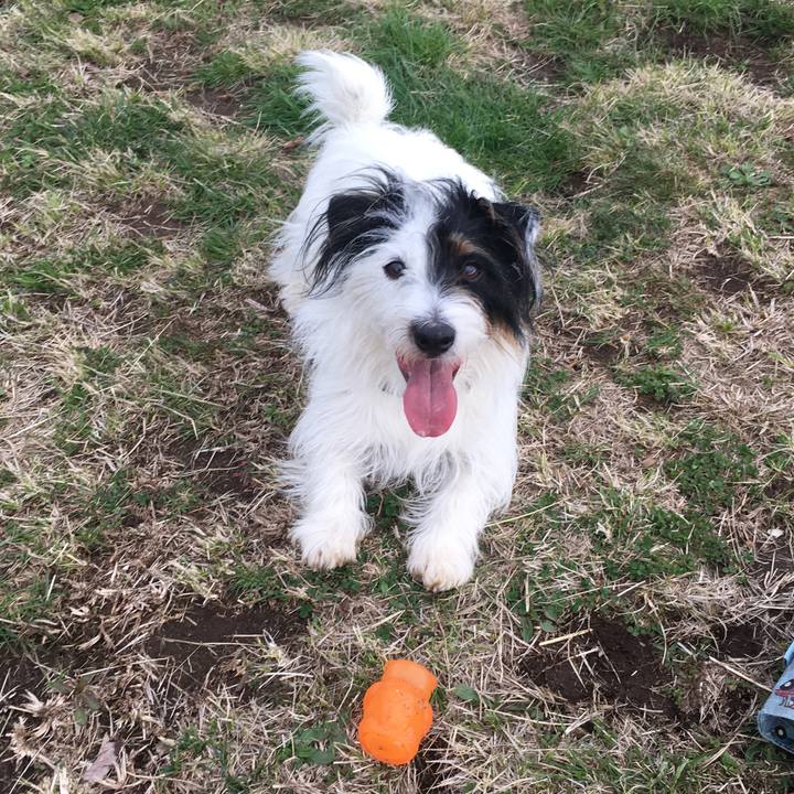 5e66b554 c78e 4e5e af6e 0ebd70657afe 1522967086872