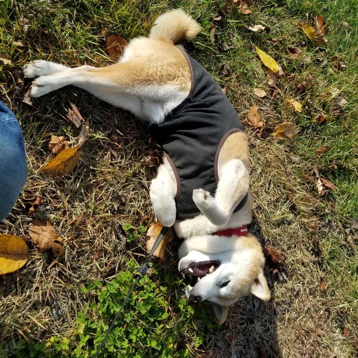 5e66de0c 3ab4 473d a7db 9bc2632a5368 1731386825314