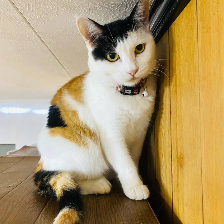 5e670ee7 b7b2 4fe4 8d5b f1866afc3122 1663677636221