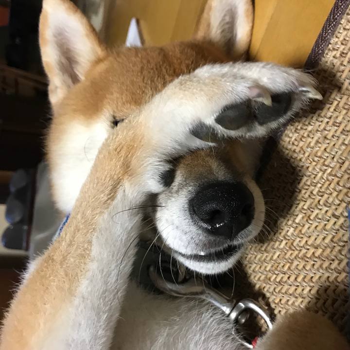 5e6713b0 29d0 4a96 9c7e ea29dee82eef 1599735856483