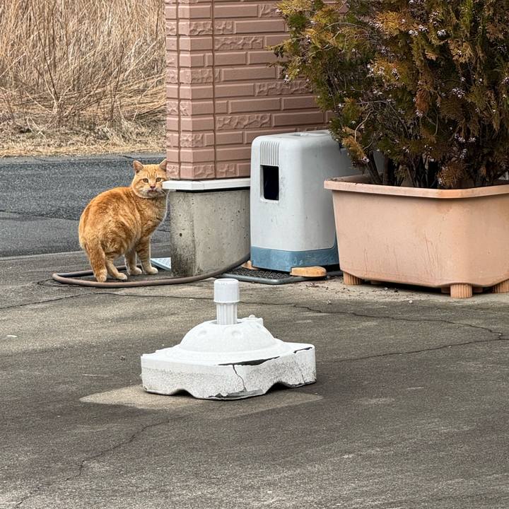 5e671818 998e 4a37 b939 c5f4f04da904 1772073495282