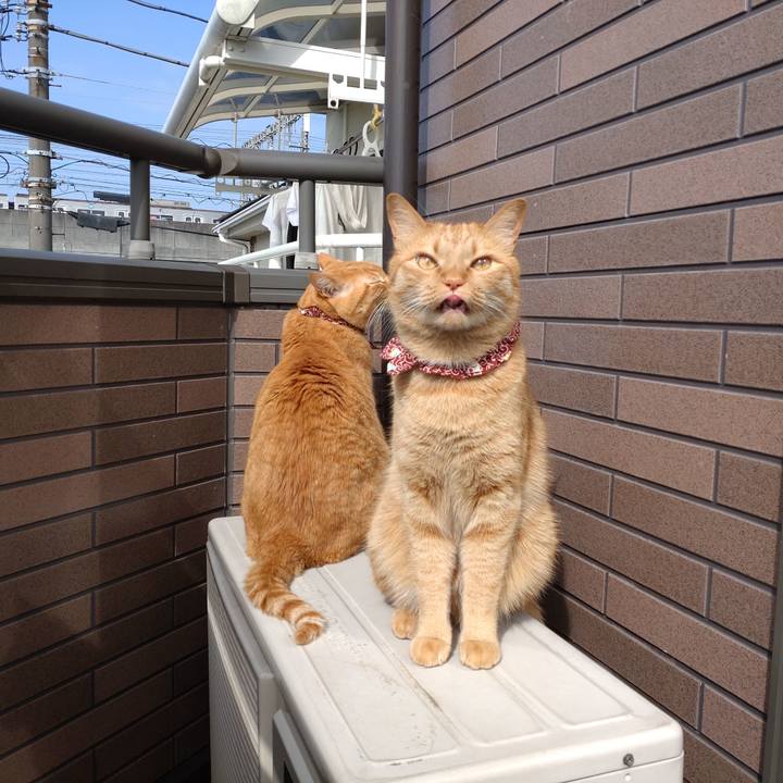 5e671a01 35a8 497e 8c15 001df5ec1af8 1648599581321