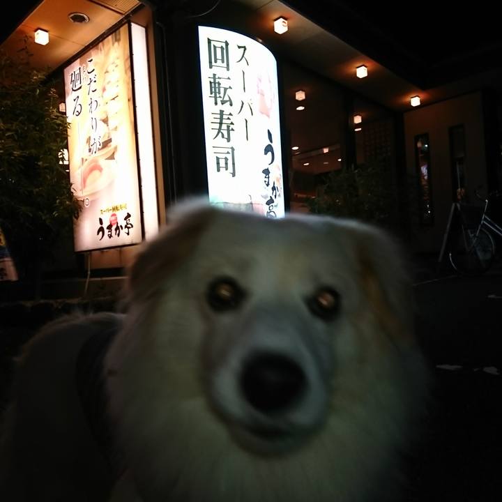 5e6725c2 f64a 4fac b146 d7a09ee1a6c0 1511341793746