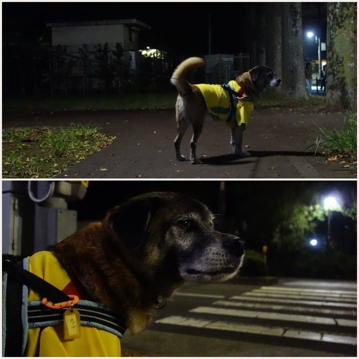 5e67435f 4661 46f0 ad82 11c47c7561c0 1541338283585