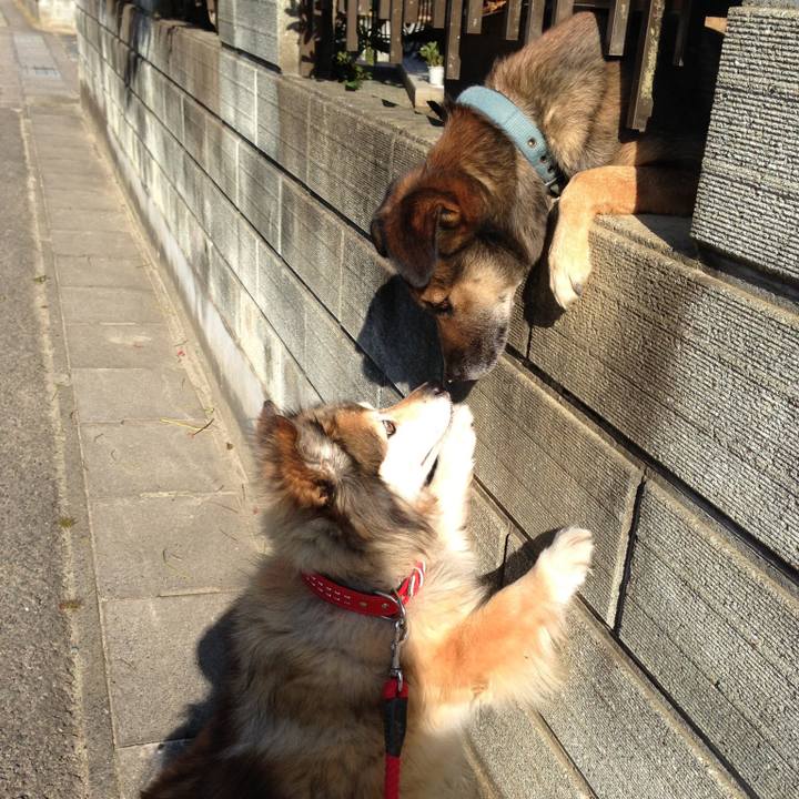 5e675b9e fbdf 404a bc3e dbc5bddf7401 1547882693388