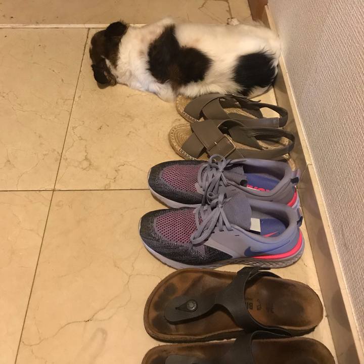 5e6767fc 5431 47d2 9e37 6ee70b05da7b 1600389338764