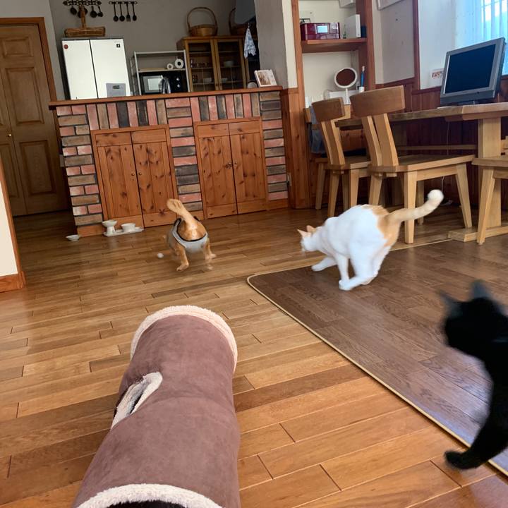 5e677139 0ed0 4de2 9b9f 9bac46ac651a 1642854691350