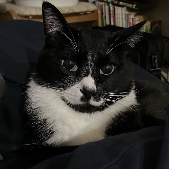 5e677355 c278 4ed5 9c8d d5a5545d143e 1669866392472