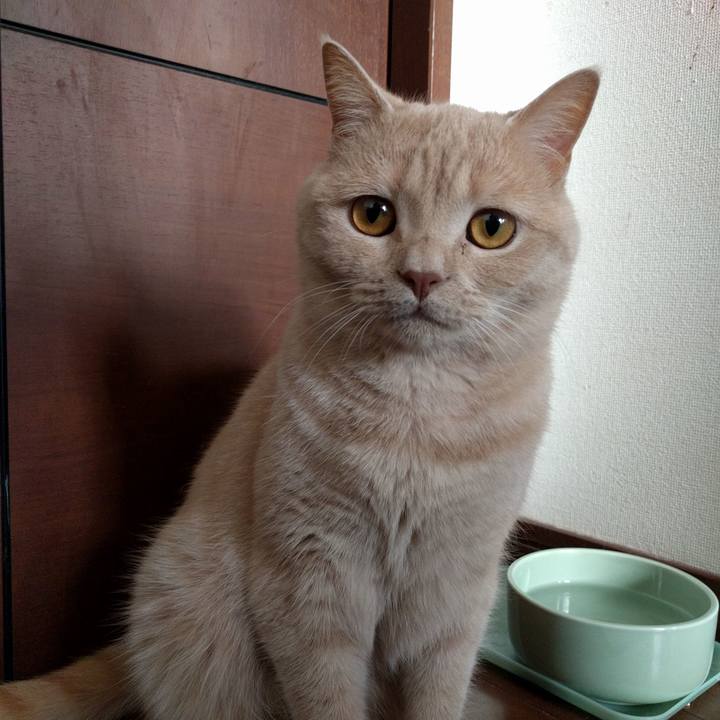 5e6787c2 963a 422b 8aa0 95756d83f8fe 1558598428101