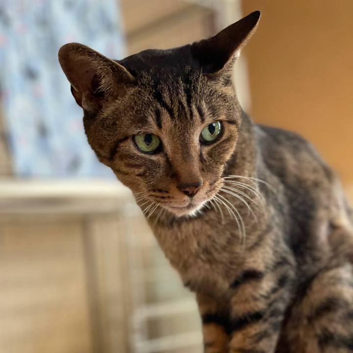 5e67a354 9145 4d01 9055 2fb481101645 1621736699611