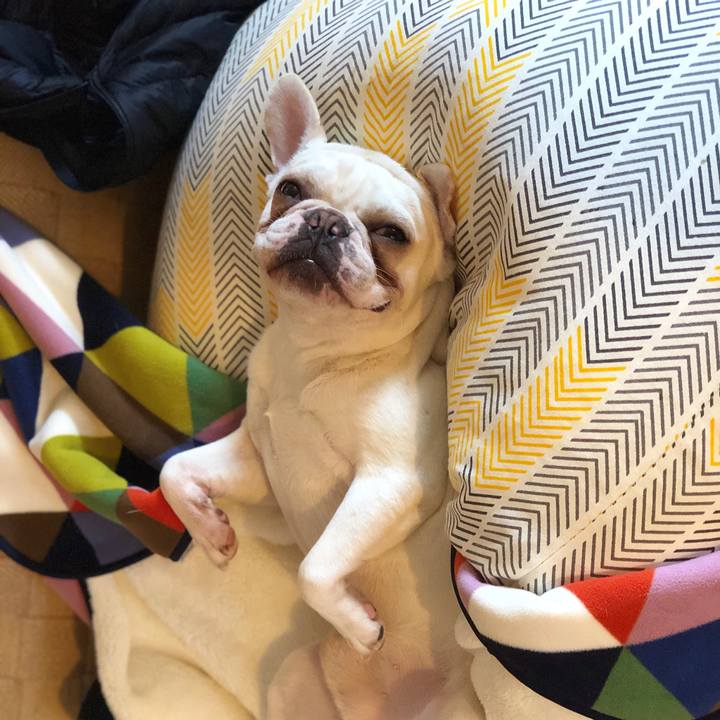 5e67ac67 4a09 45b6 a87f ed1dfe8a01bf 1529919504924