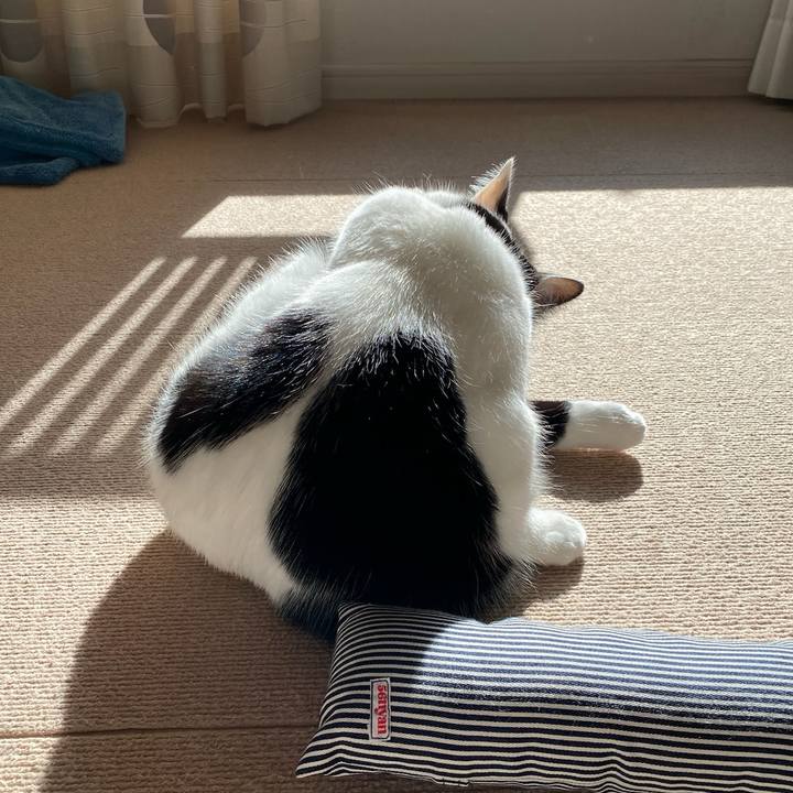 5e67bebc 7465 4fb9 a47e a47a5a1340a4 1765147372622