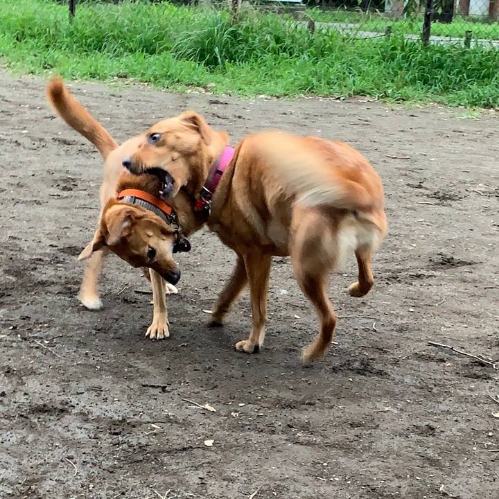 5e67ee07 bfc6 40f2 b3bc c8df6a48c09a 1562578249469