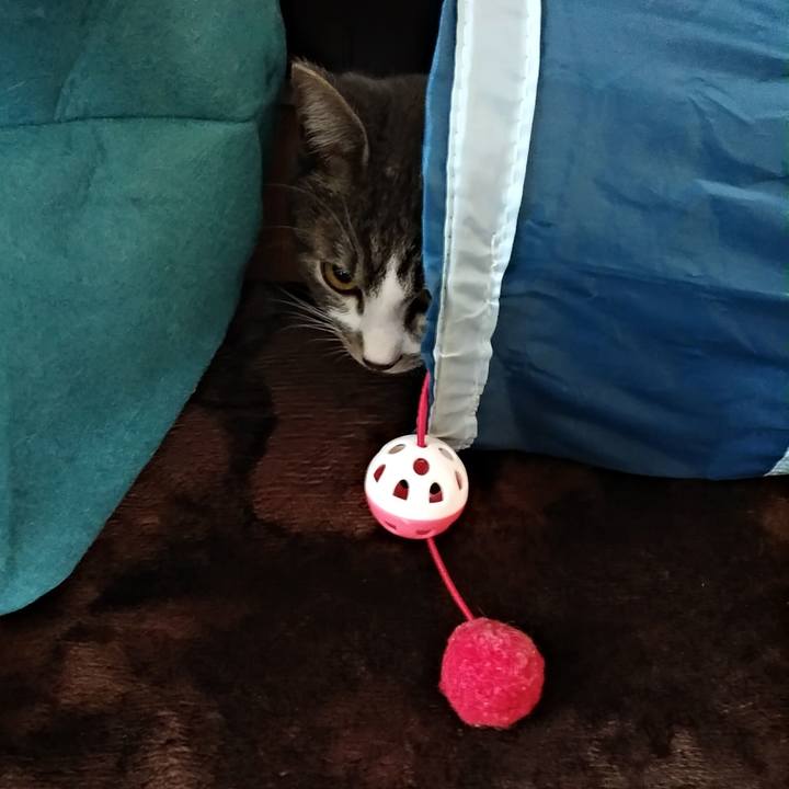 5e67f8e4 431c 4c98 bf45 ece368add5a2 1575759553629