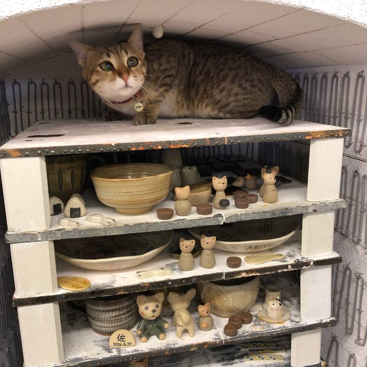 5e68026a 1313 48ea a9c4 2e5341b168ba 1584581369350