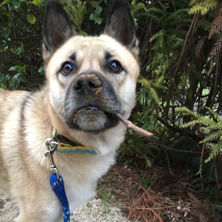 5e684605 f22b 4a8c b165 23ad2c50ef00 1512385776426