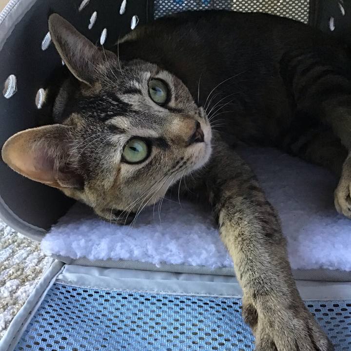 5e684984 38a3 4015 a112 d9ef6b5bb912 1588847130821