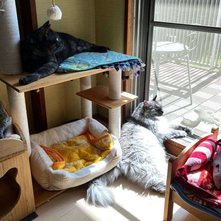 5e685551 192d 4cfd 9758 d2d59889143e 1728613158693