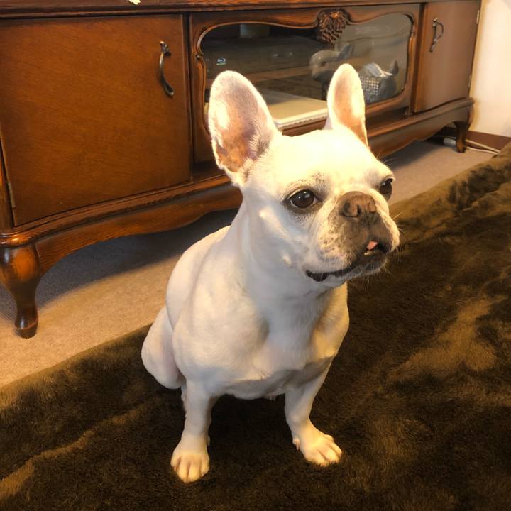 5e687d90 2310 4962 ab3d ac9750b09e21 1618663958108