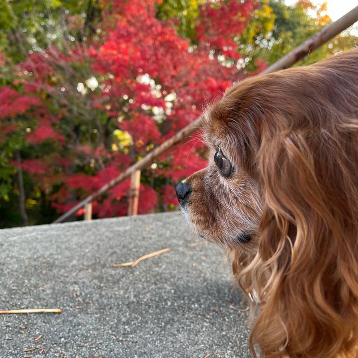 5e688be2 7066 4e2f a2fd 719aedbdd5d0 1764199178980