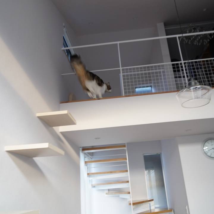 5e68b26a b2b4 42e1 b72d a0cc8b44bdea 1614154152511